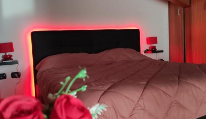 Red Lux Apartment