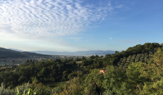 Umbria In Bike B&B