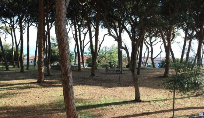 Maremma Holidays - Lamarmora Apartment