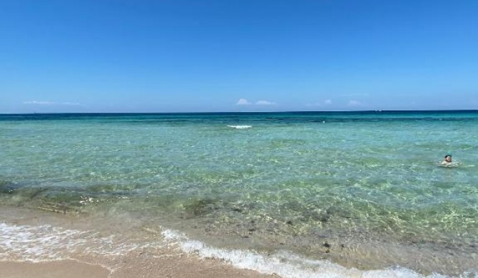 La Fenice sulla spiaggia