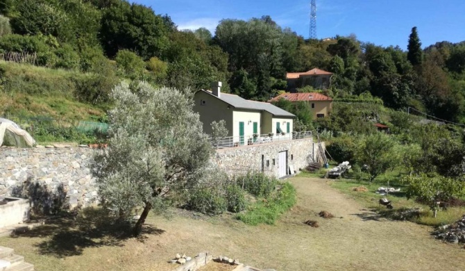 Agriturismo Verdure Naturali