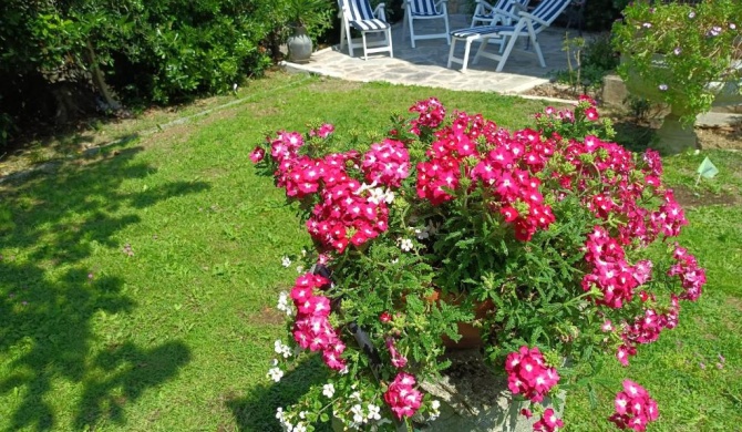 Appartamento con giardino a Boccadasse