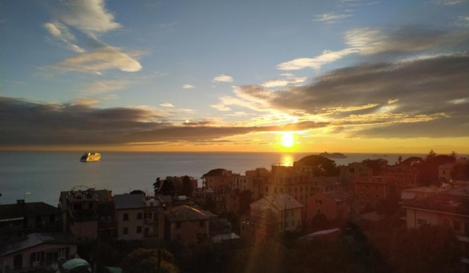 Romantic garden sea view Nervi