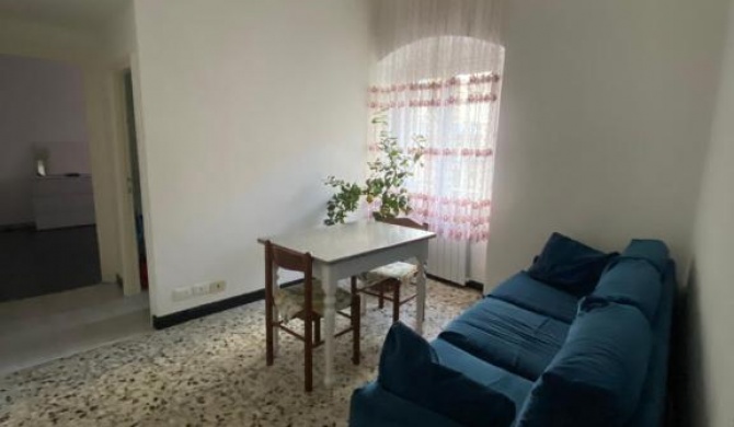 Zena apartament