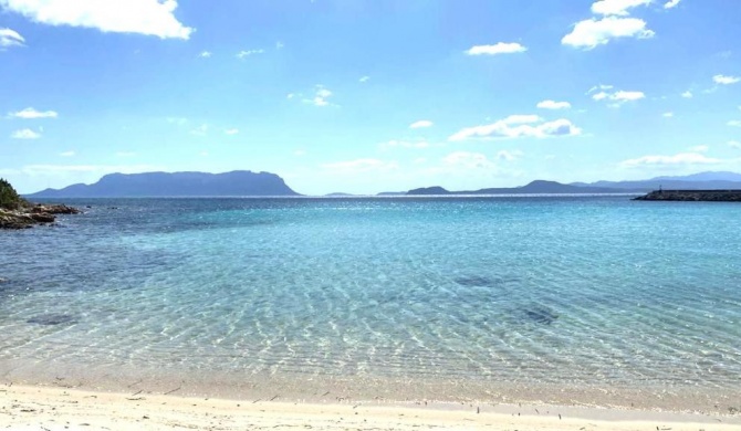 Appartamento a pochi passi dalla spiaggia